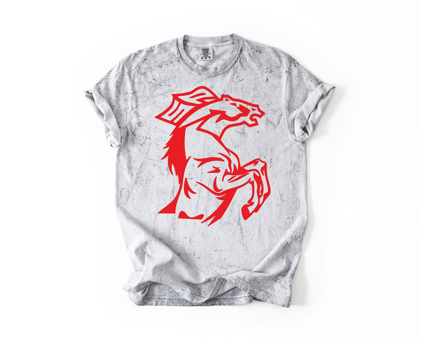 South Pointe Stallions