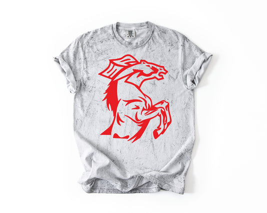South Pointe Stallions
